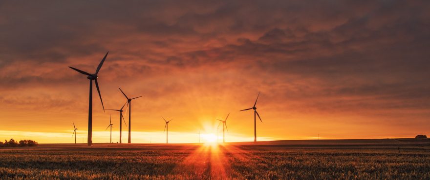 Photo of wind turbines promoting jobs in renewable energy sector