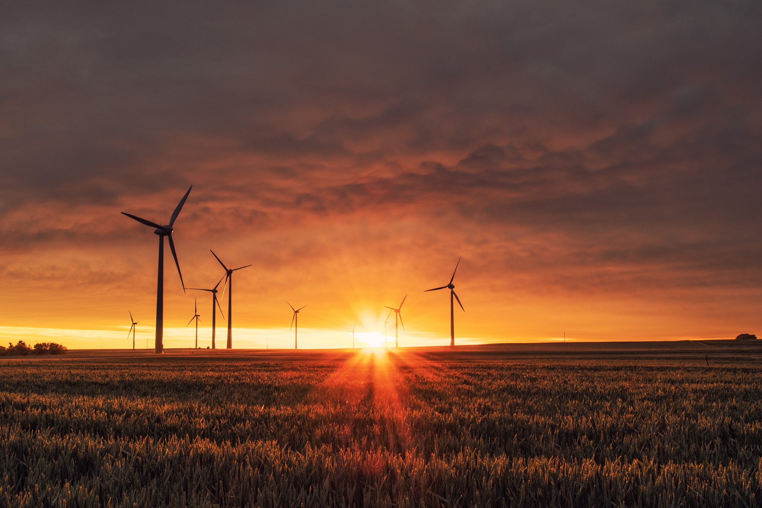 Photo of wind turbines promoting jobs in renewable energy sector